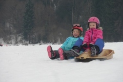 1a_Rutschen_Jaenner_1415_12