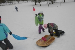 1a_Rutschen_Jaenner_1415_13