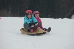 1a_Rutschen_Jaenner_1415_15