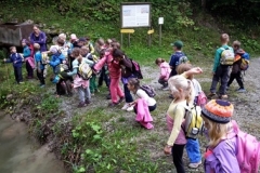 1ab_Herbstwandertag_1415_19