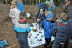 2a_Waldtag_Herbst_1819_05
