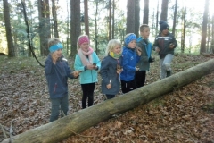 2a_Waldtag_Herbst_1819_11