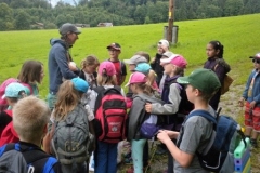 2a_Wald_1516_52