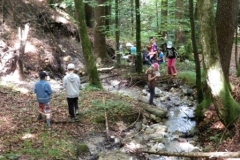 2a_Wald_1516_67