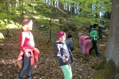 2a_Waldtag_1516_06