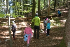 2a_Waldtag_1516_17