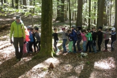 2a_Waldtag_1516_20