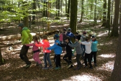 2a_Waldtag_1516_21