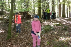 2a_Waldtag_1516_24