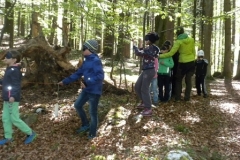 2a_Waldtag_1516_25