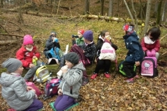 2b_Wald_1516_01
