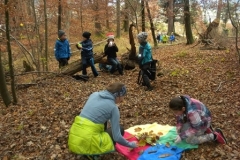 2b_Wald_1516_02
