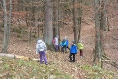 2b_Wald_1516_05