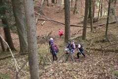2b_Wald_1516_06
