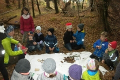 2b_Wald_1516_07