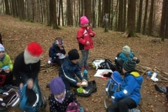 2b_Wald_1516_11