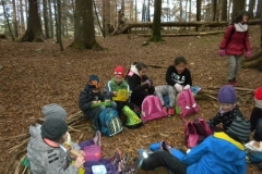 2b_Wald_1516_12