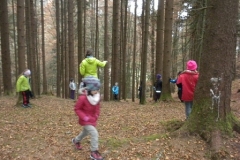 2b_Wald_1516_14