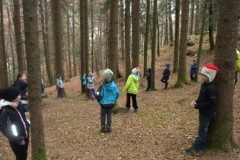 2b_Wald_1516_15