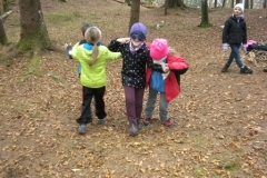 2b_Wald_1516_17