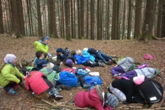 2b_Wald_1516_26