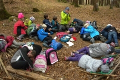 2b_Wald_1516_27