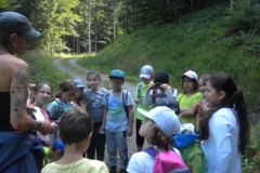 2b_Wald_1516_80