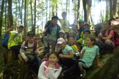 2b_Wald_1516_81