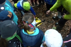 2b_Waldtag_1516_10