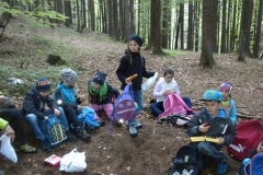 2b_Waldtag_1516_19