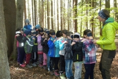2b_Waldtag_1516_29