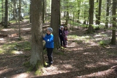 2b_Waldtag_1516_39