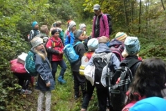 2Kl.-Wald_1617_06