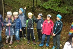 2Kl.-Wald_1617_11