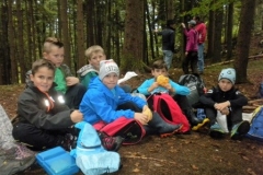 2Kl.-Wald_1617_20