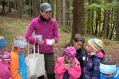2Kl.-Wald_1617_26