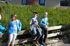 2Kl_Wald_1617_103
