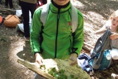 2Kl_Wald_1617_113