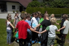 2Kl_Wald_1617_114