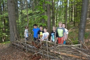 3a_Wald 15/16
