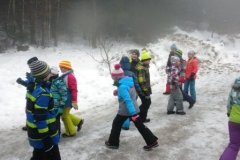 3a_Wald_1617_15