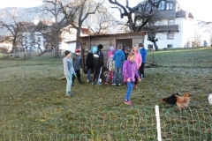 3b_Bauernhof_1516_04