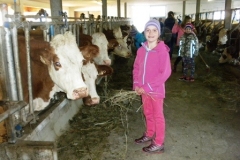 3b_Bauernhof_1516_09