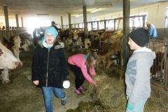 3b_Bauernhof_1516_10