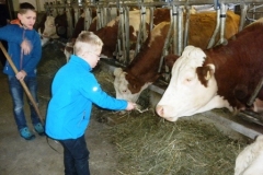 3b_Bauernhof_1516_13
