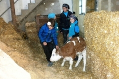 3b_Bauernhof_1516_18