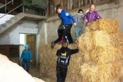 3b_Bauernhof_1516_19