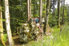 4Kl_Wald_1516_6