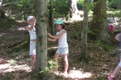 Kreativ_1617_Wald_13