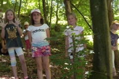 Kreativ_1617_Wald_14